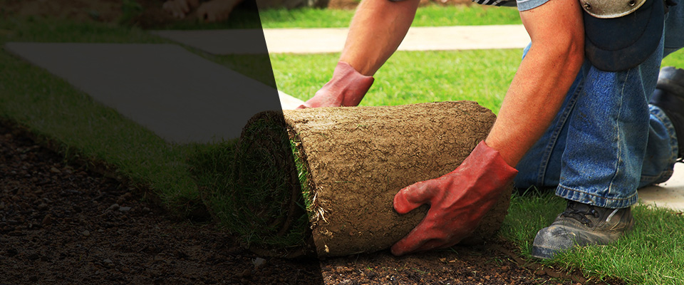 Pennellville Landscapers